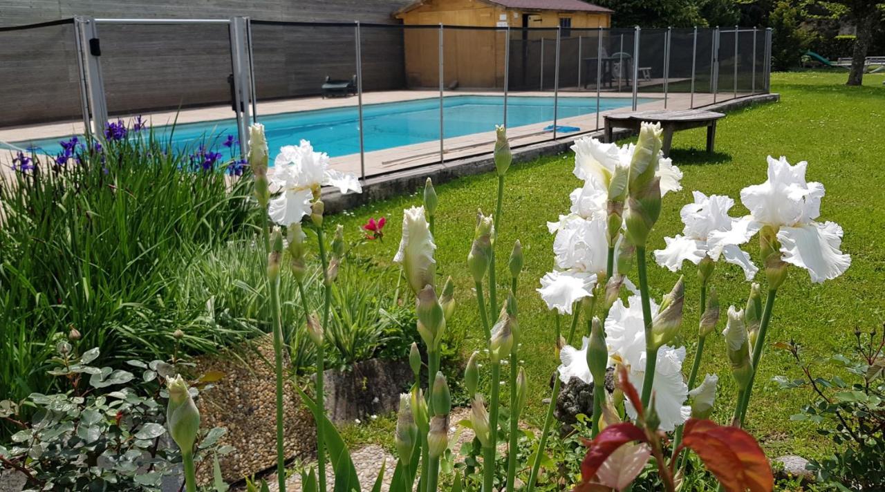 Gites De La Croisee Des Chemins - Piscine Chauffee - Spa, Hammam Et Sauna Izeaux Ngoại thất bức ảnh